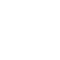 ico6